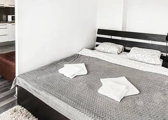 Stylowy W Najlepszej Lokalizacji Apartman *